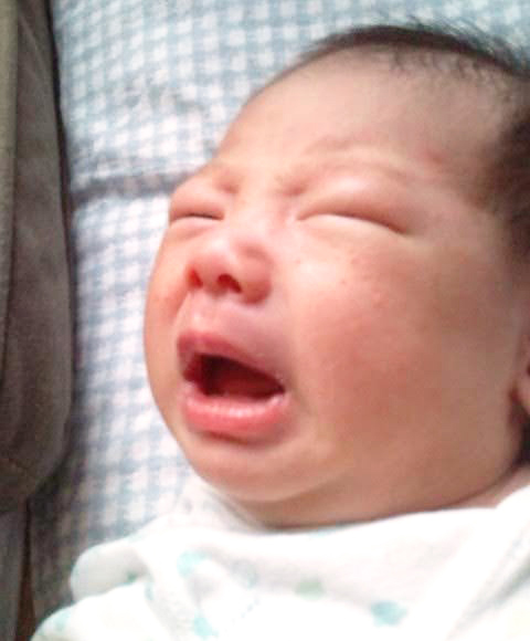 赤ちゃんの写真